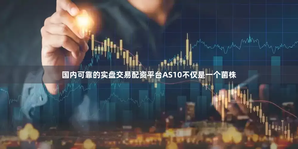 国内可靠的实盘交易配资平台AS10不仅是一个菌株