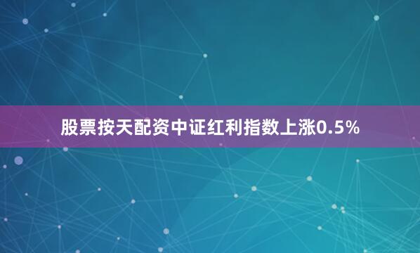股票按天配资中证红利指数上涨0.5%